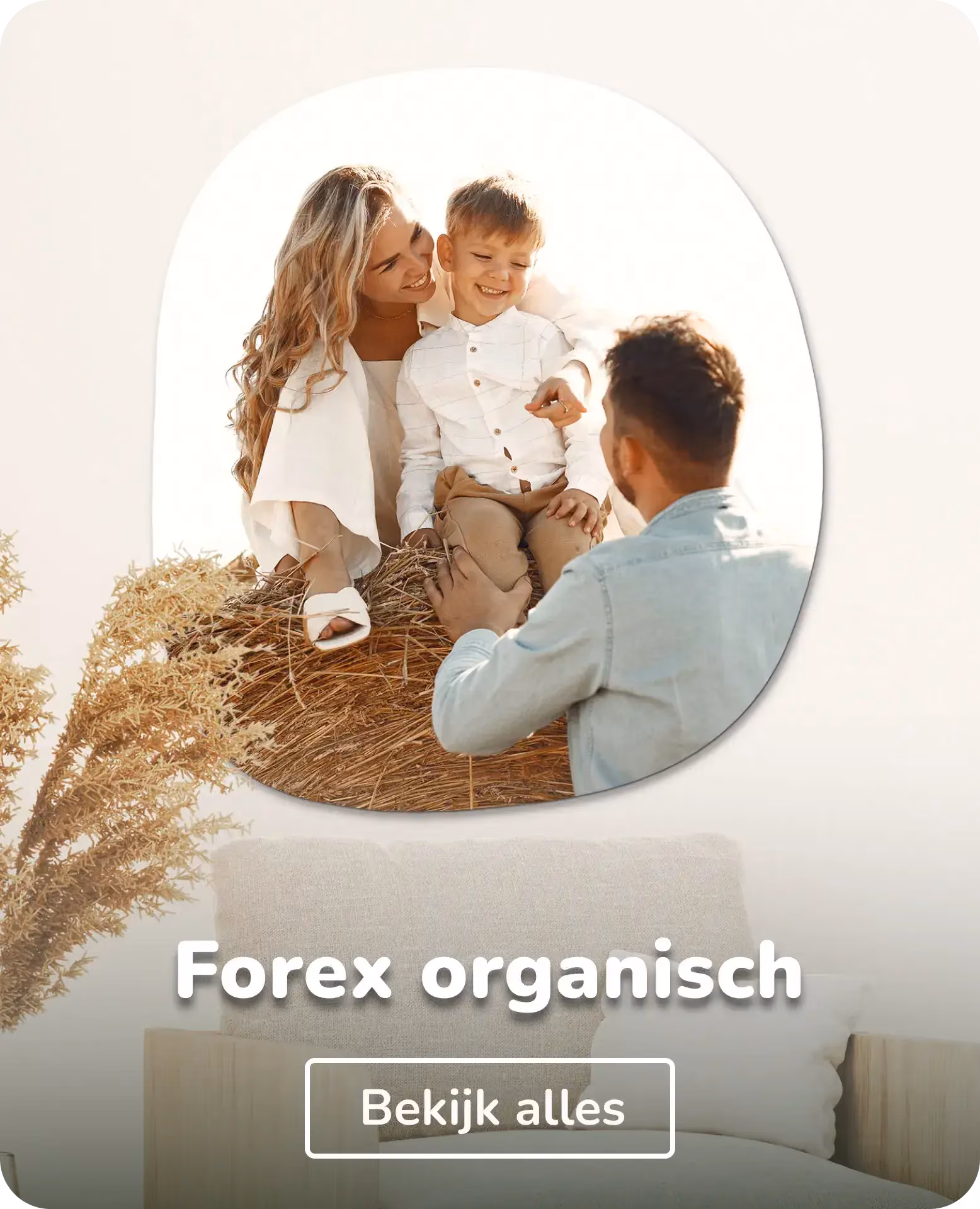 Foto op forex organisch