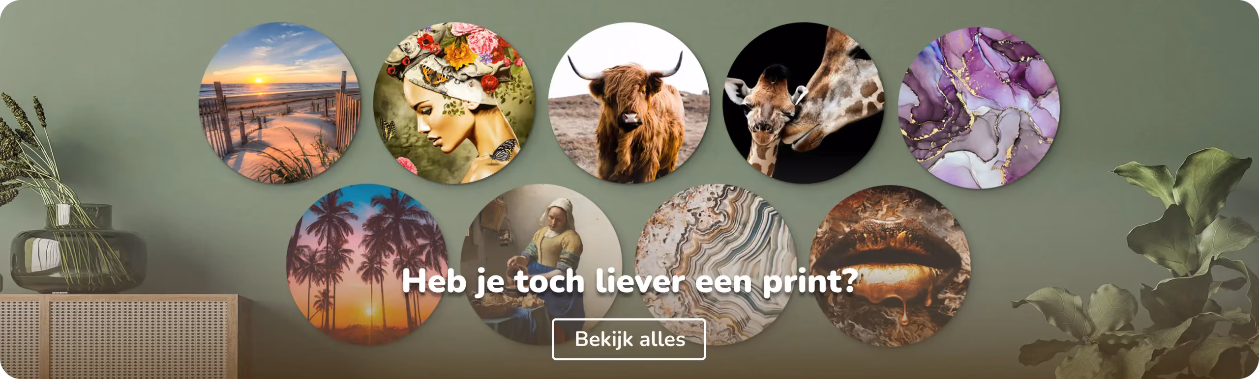 Muurcirkels collecties