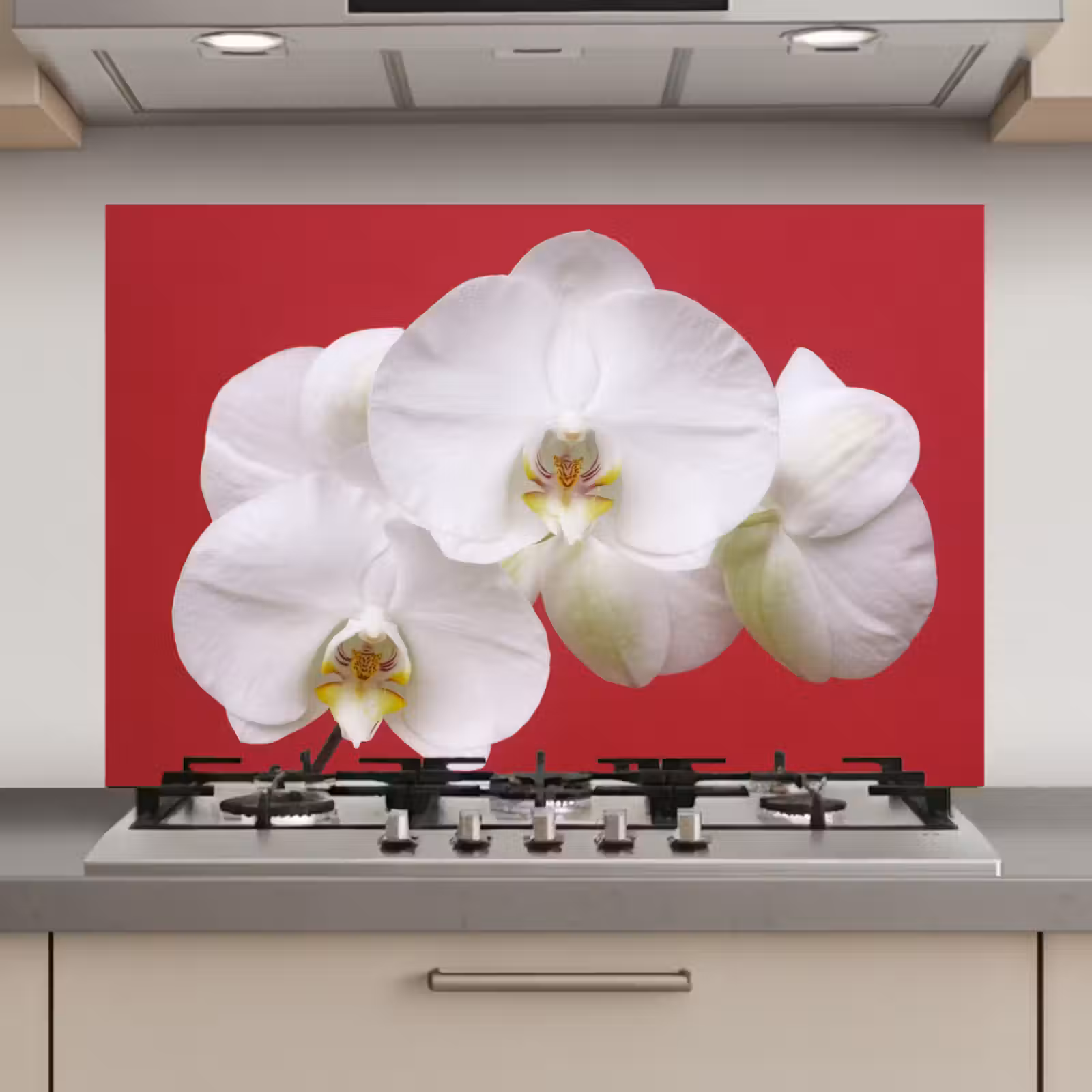 Spatscherm keuken - Witte orchidee op rood — 1