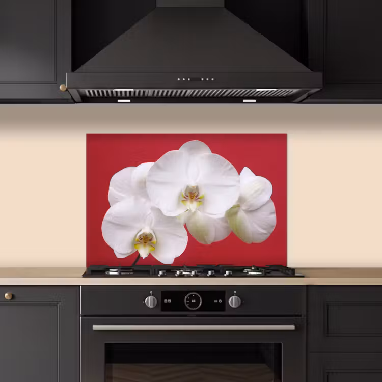 Spatscherm keuken - Witte orchidee op rood — 2