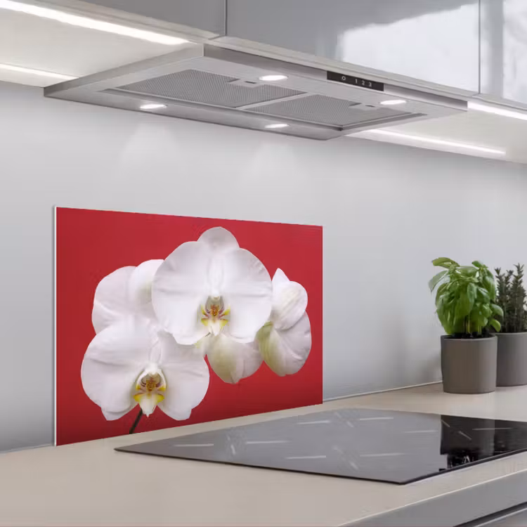 Spatscherm keuken - Witte orchidee op rood — 5