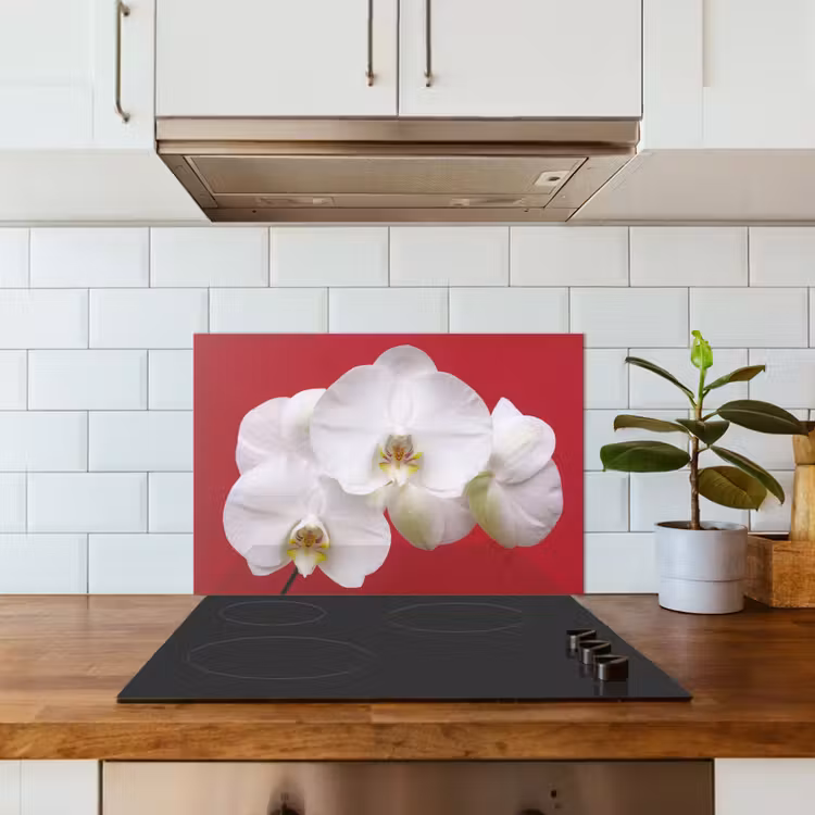 Spatscherm keuken - Witte orchidee op rood — 6