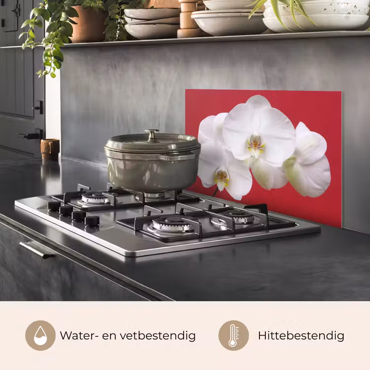 Spatscherm keuken - Witte orchidee op rood — 7