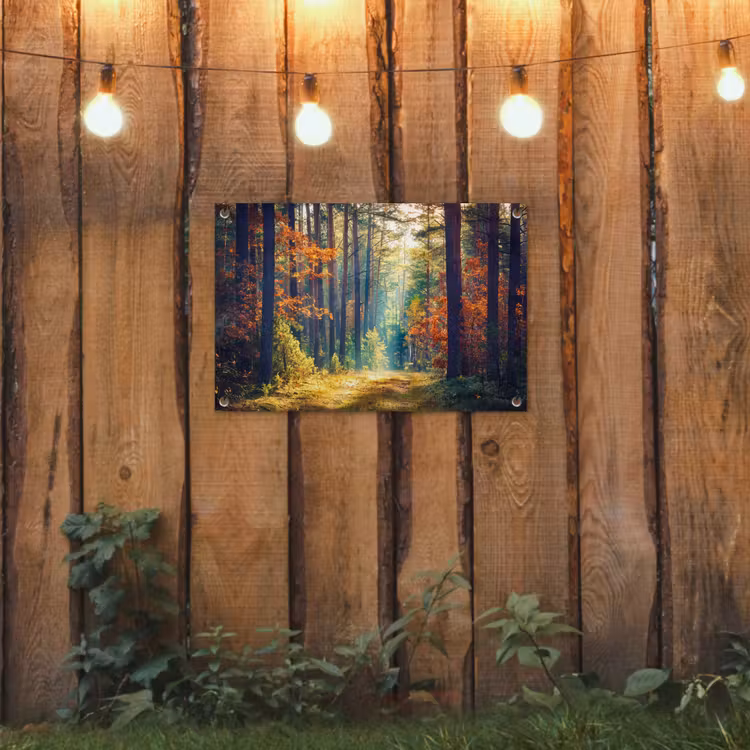 Tuinposter - Herfstbos met zonnestralen — 2