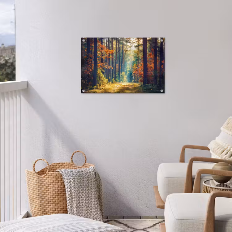 Tuinposter - Herfstbos met zonnestralen — 3