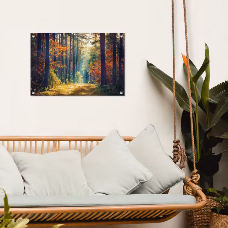Tuinposter - Herfstbos met zonnestralen — 5