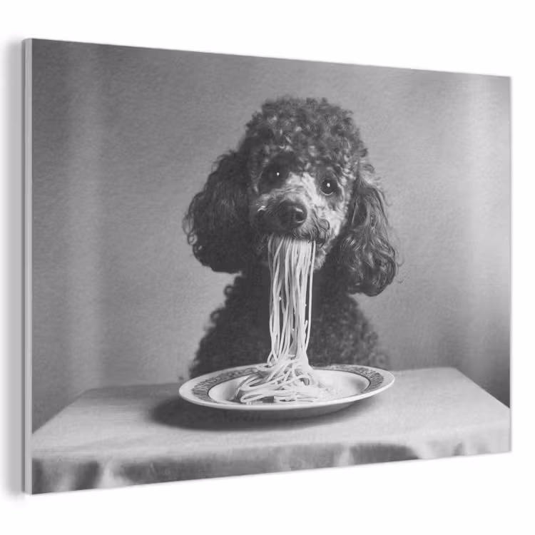 Akoestisch schilderij - Poedel - Hond - Zwart - Wit - Schattig - Pasta — 1