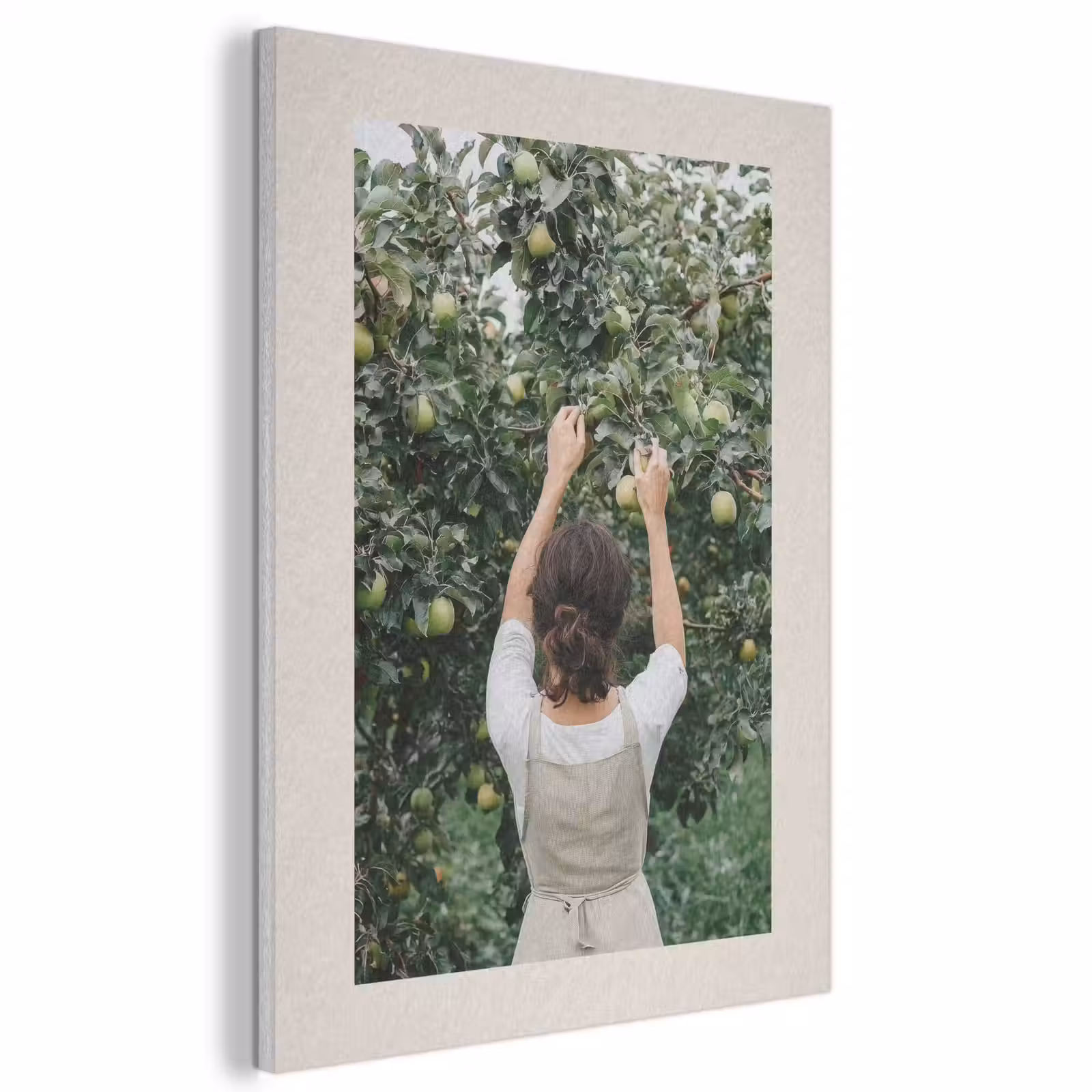 Akoestisch schilderij - Boom - Appels - Plukken - Natuur — 1
