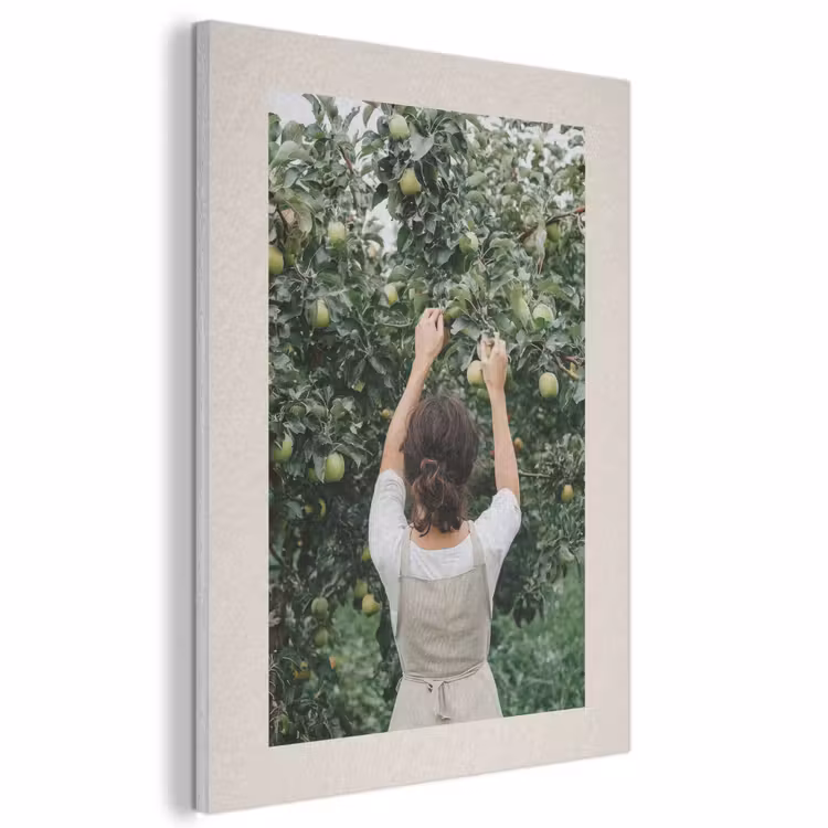 Akoestisch schilderij - Boom - Appels - Plukken - Natuur — 1