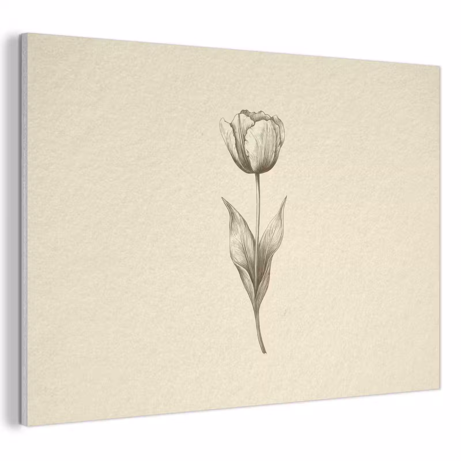 Akoestisch schilderij - Illustratie - Tulp - Zwart — 1