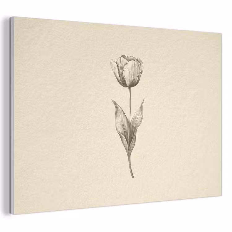 Akoestisch schilderij - Illustratie - Tulp - Zwart — 1