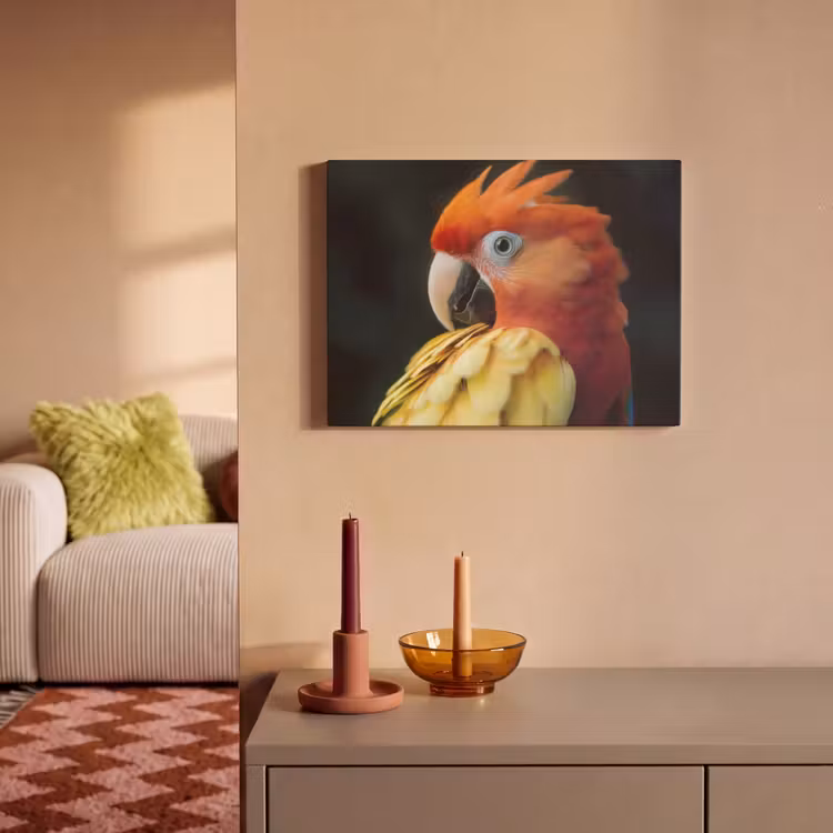 Akoestisch schilderij - Close-up - Papegaai - Veren - Oranje — 2