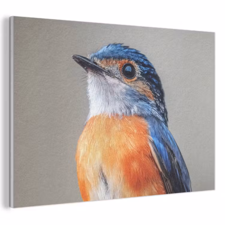 Akoestisch schilderij - Kleurrijk - Vogeltje - Veren - Blauw — 1
