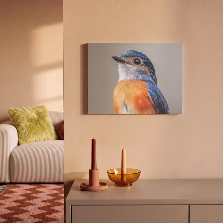 Akoestisch schilderij - Kleurrijk - Vogeltje - Veren - Blauw — 2