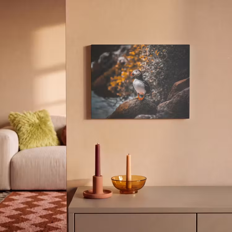 Akoestisch schilderij - Papegaai - Vogel - Rots - Wit — 2