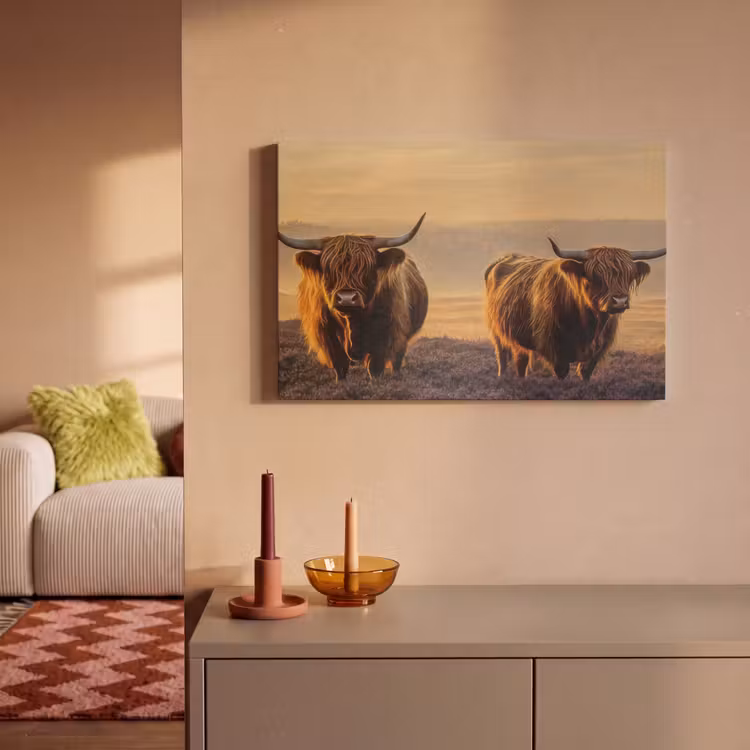 Akoestisch schilderij - Schotse hooglanders - Heide - Landschap - Dieren — 2