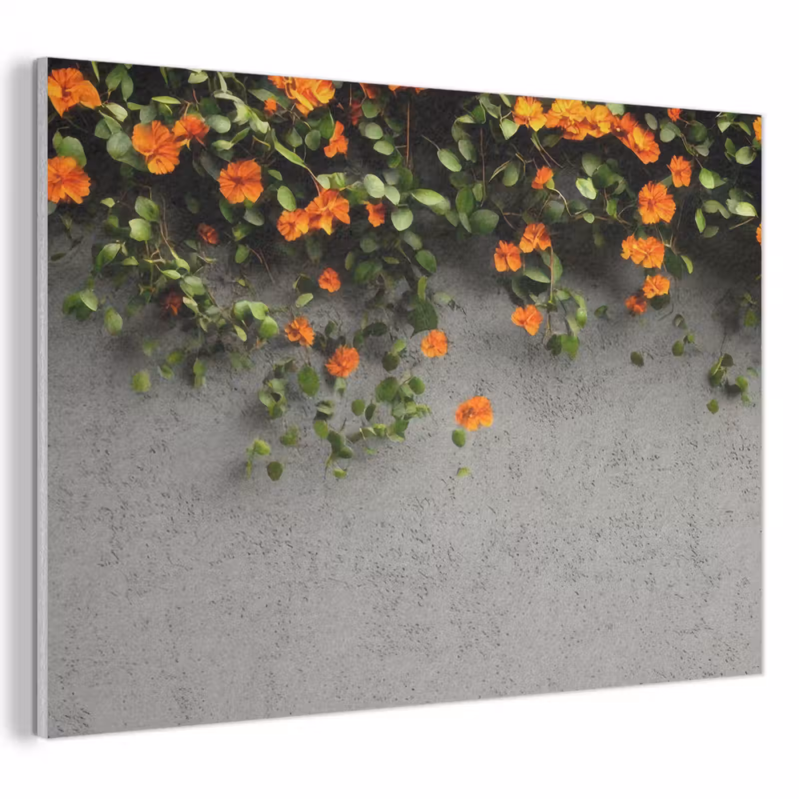 Akoestisch schilderij - Bloemen - Muur - Oranje — 1
