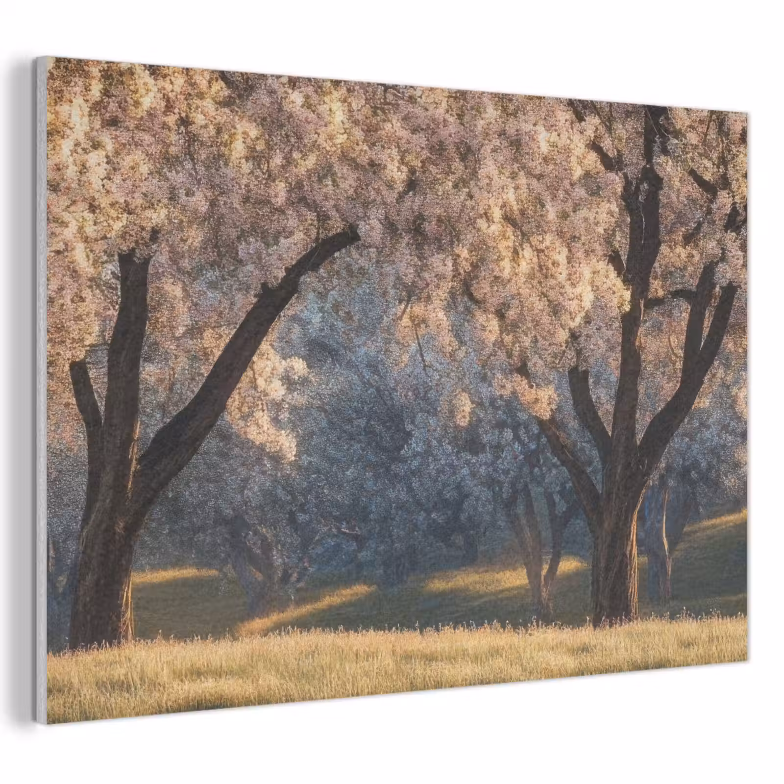 Akoestisch schilderij - Bomen - Bloesem - Lente — 1