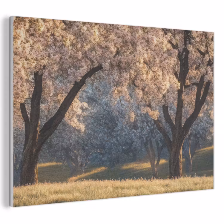 Akoestisch schilderij - Bomen - Bloesem - Lente — 1