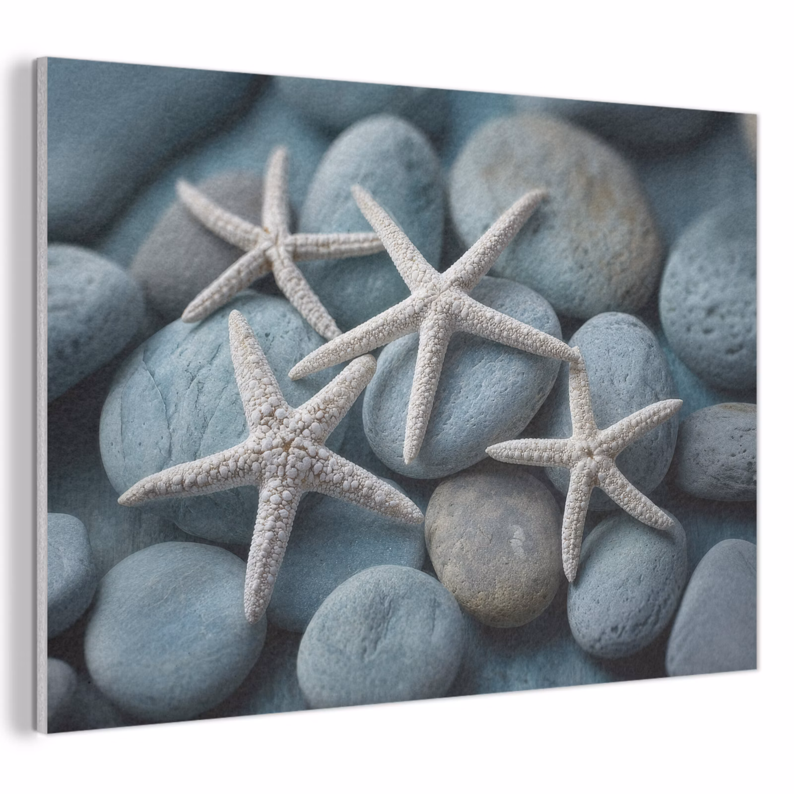 Akoestisch schilderij - Zeesterren - Stenen - Wit — 1