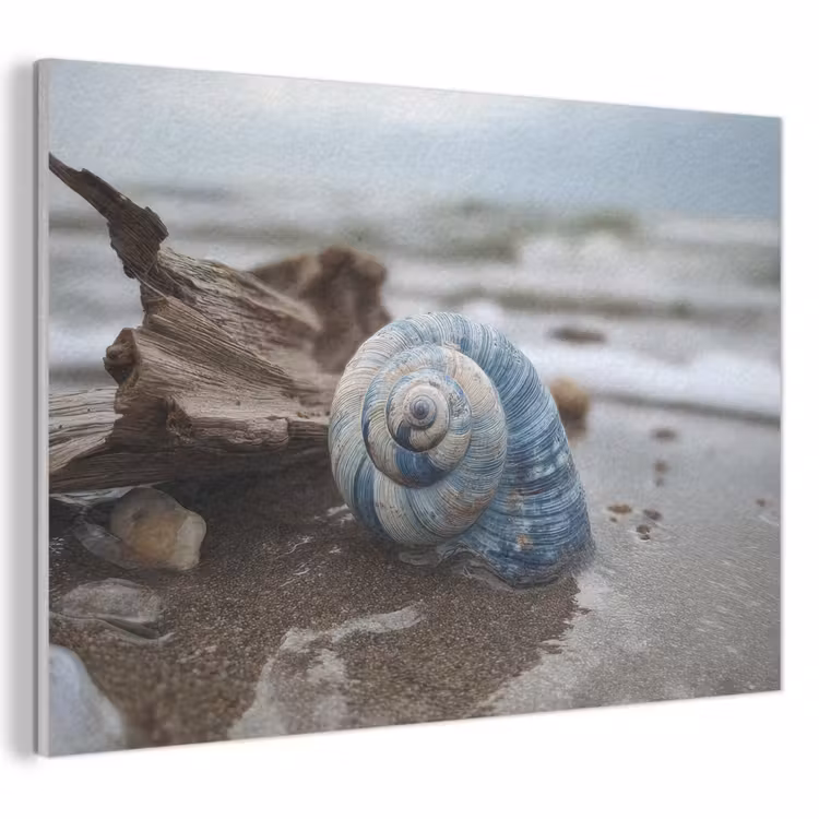 Akoestisch schilderij - Schelp - Strand - Blauw - Zee