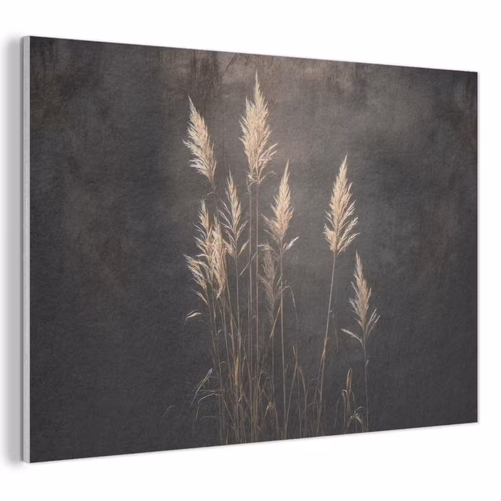 Akoestisch schilderij - Siergras - Pluimen - Verlichting - Zwart — 1