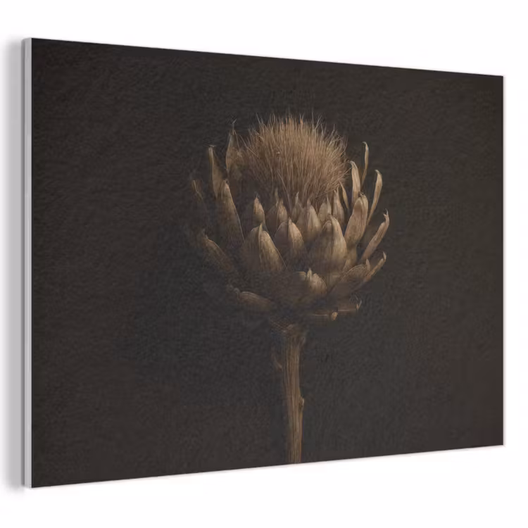 Akoestisch schilderij - Donkerbruin - Bloem - Textuur - Artisjok — 1