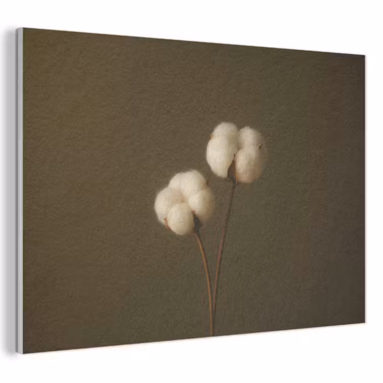 Akoestisch schilderij - Takken - Katoen - Wit - Bollen — 1