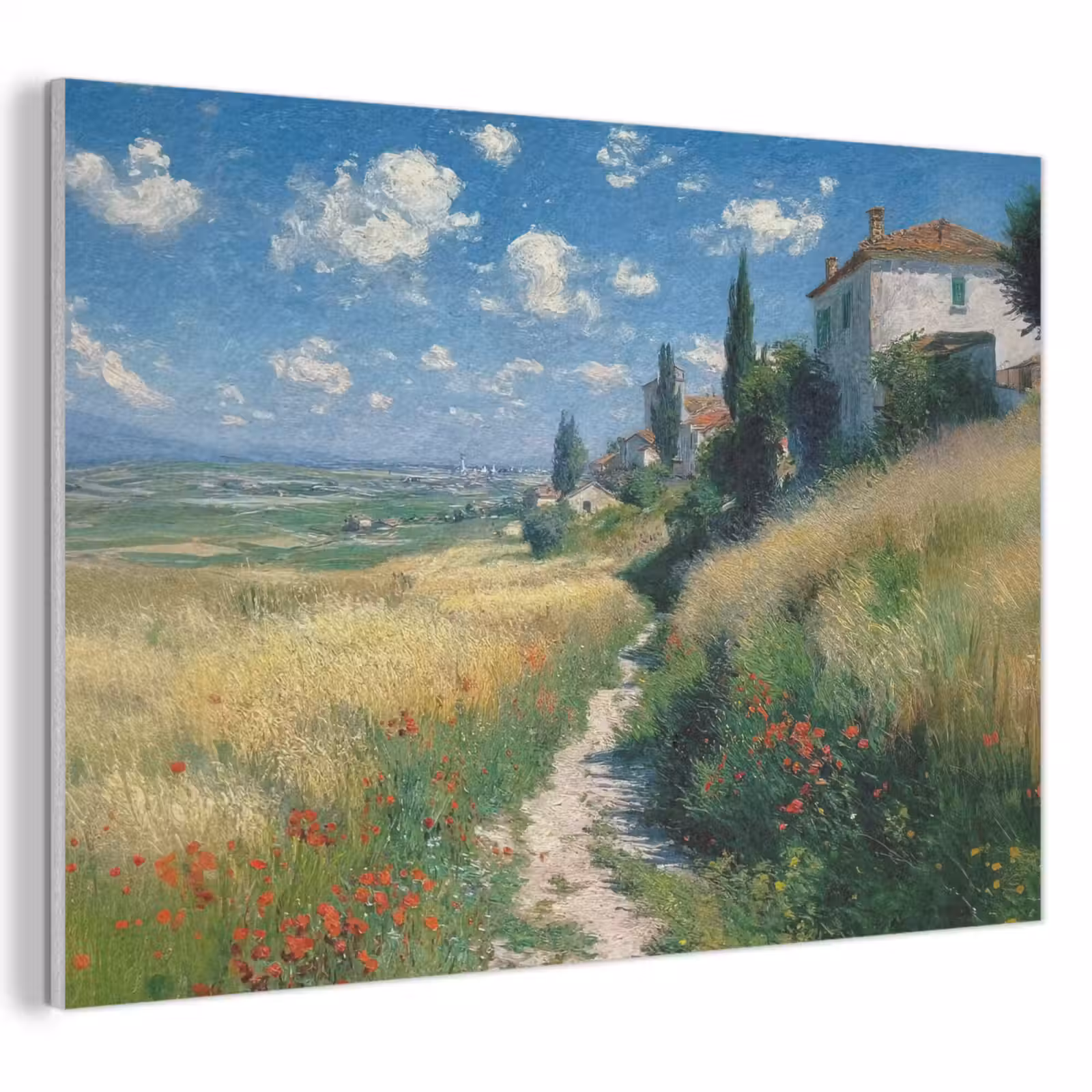 Akoestisch schilderij - Zandpad - Huis - Bomen - Grasveld — 1