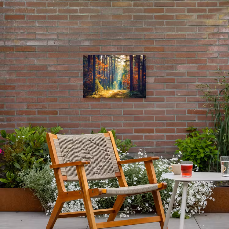 Buiten canvas - Herfstbos met zonnestralen — 2