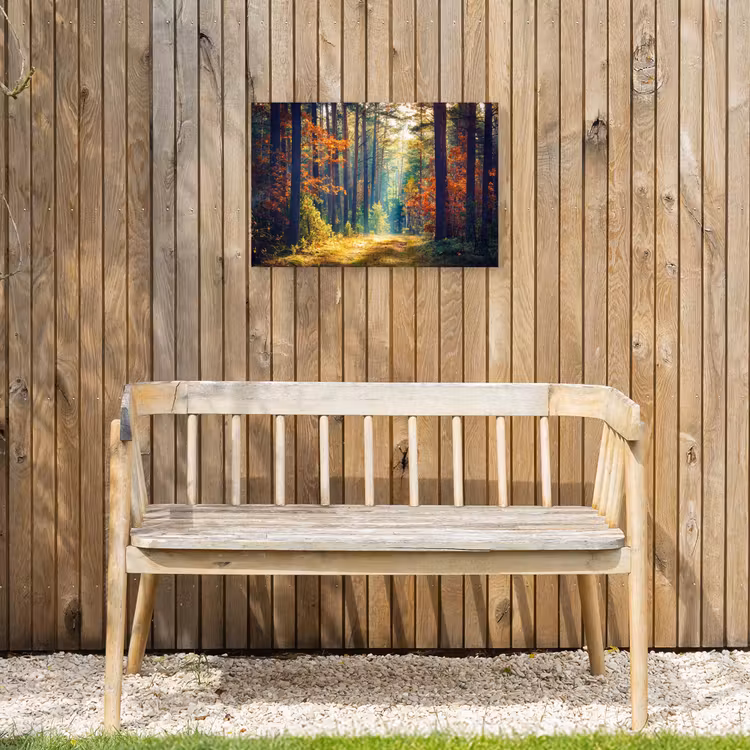 Buiten canvas - Herfstbos met zonnestralen — 3