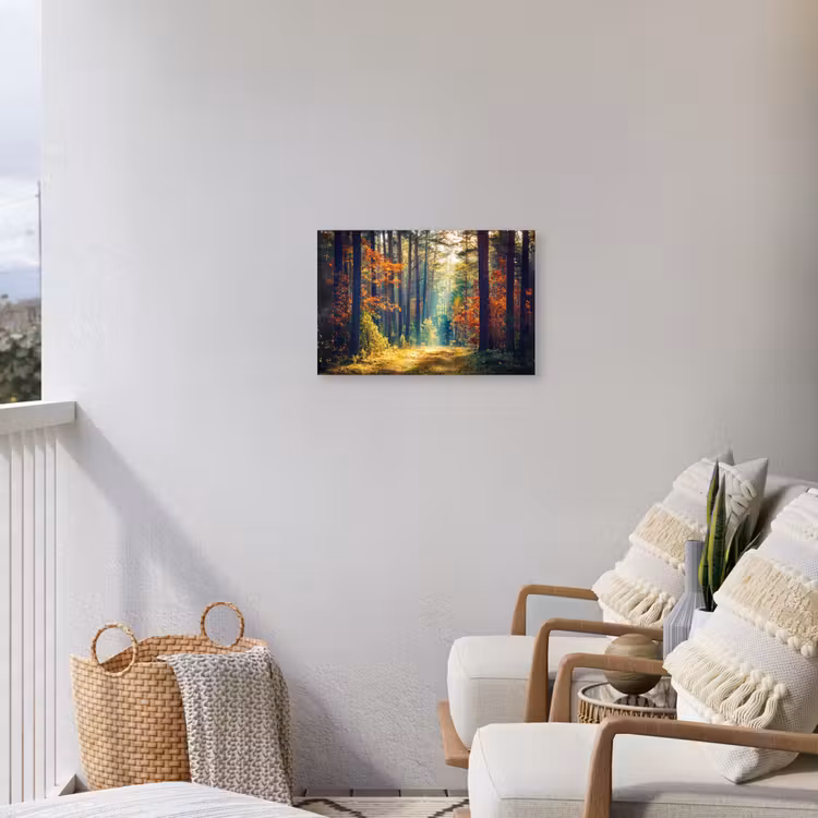 Buiten canvas - Herfstbos met zonnestralen — 4