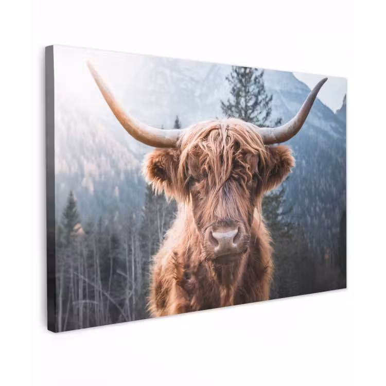 Buiten canvas - Hooglander van Dichtbij — 1