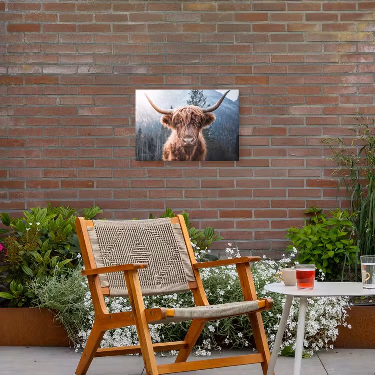 Buiten canvas - Hooglander van Dichtbij — 2