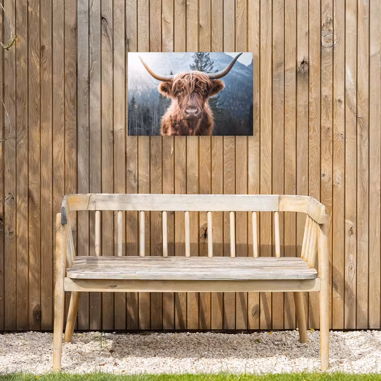 Buiten canvas - Hooglander van Dichtbij — 3