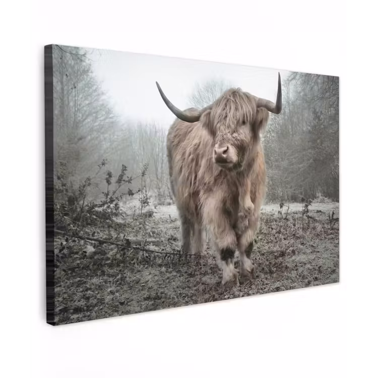 Buiten canvas - Hooglander in de Mist — 1