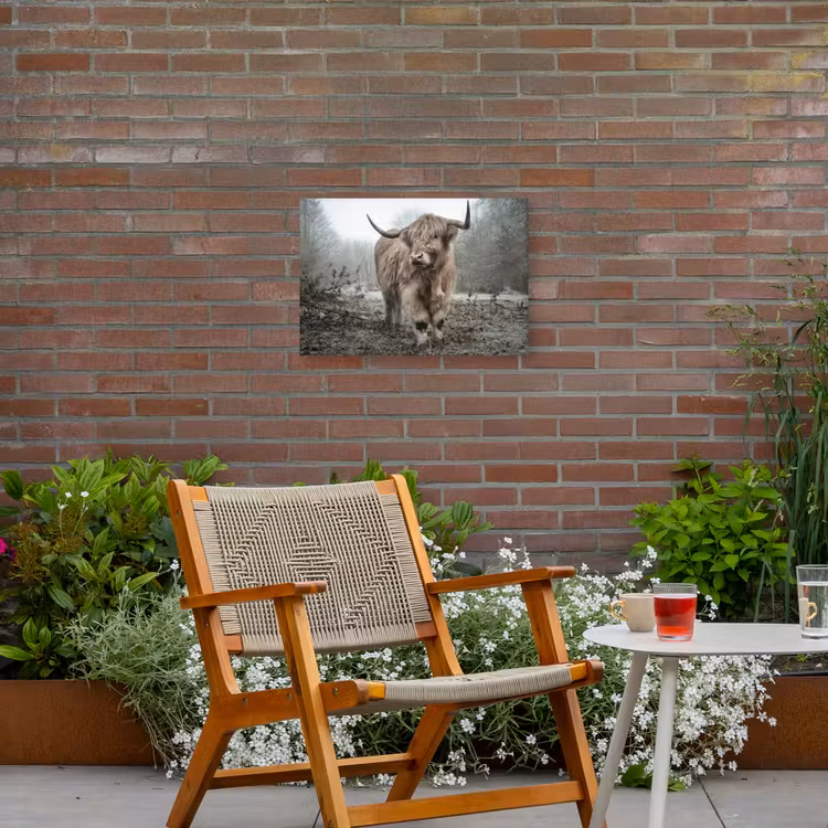 Buiten canvas - Hooglander in de Mist — 2