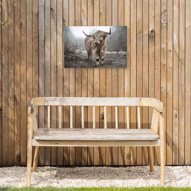 Buiten canvas - Hooglander in de Mist — 3