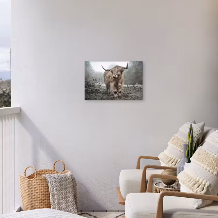 Buiten canvas - Hooglander in de Mist — 4