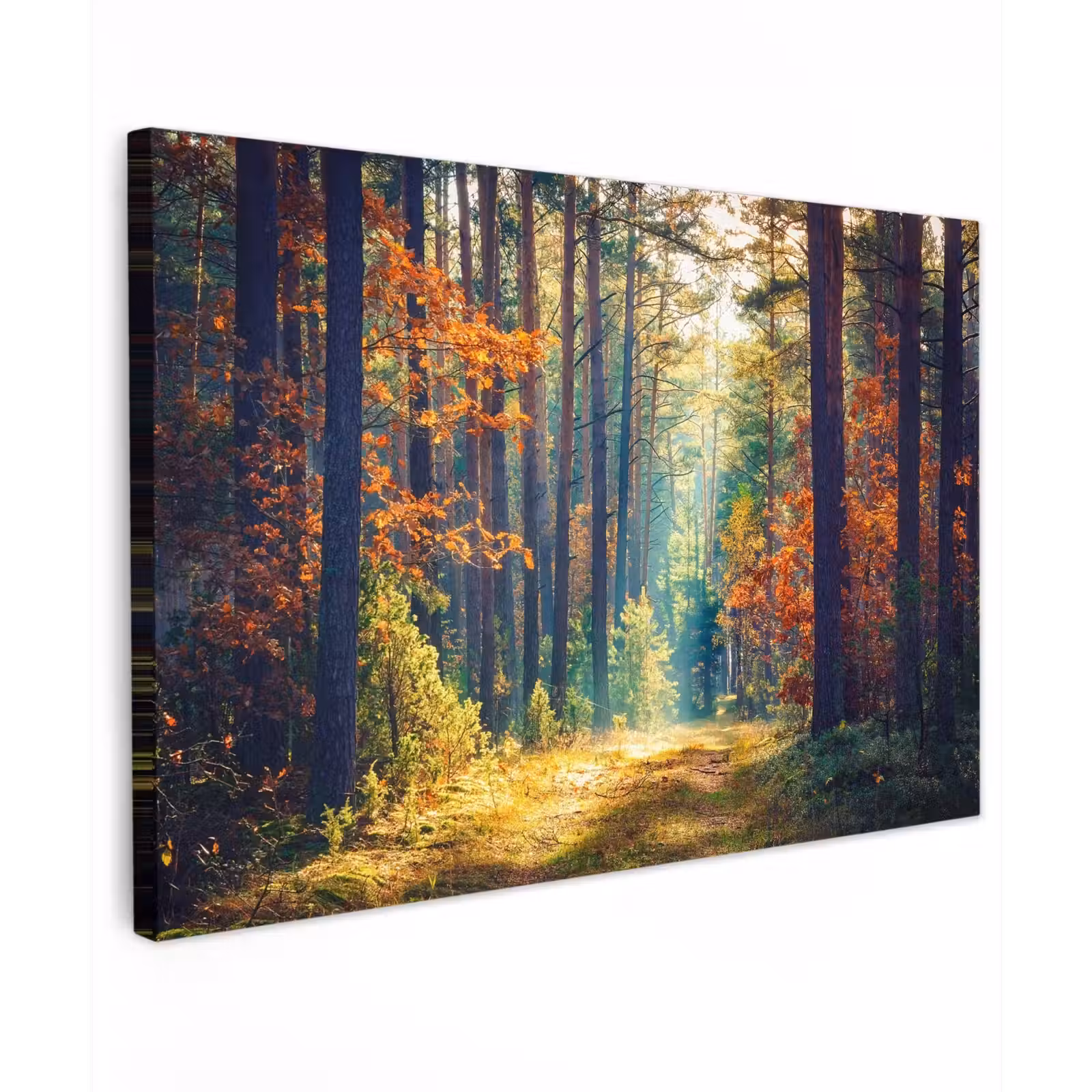 Buiten canvas - Herfstbos in de Ochtendmist — 1