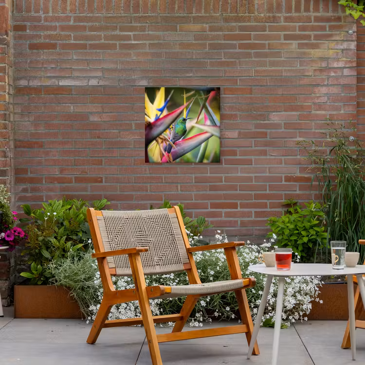 Buiten canvas - Kleurrijke vogel tussen allemaal kleurrijke platen — 2
