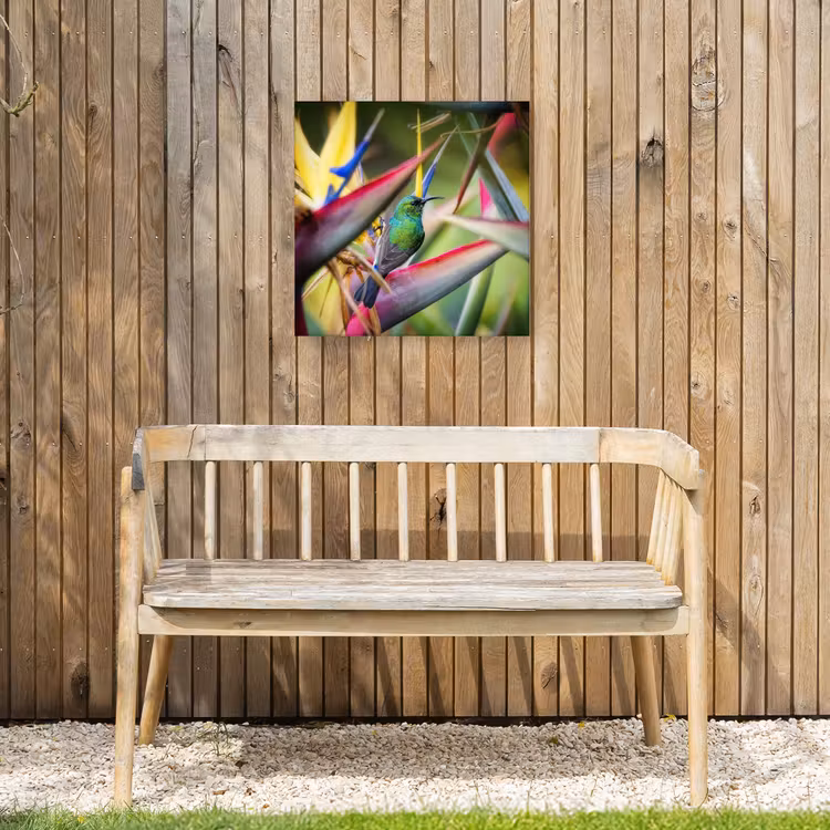 Buiten canvas - Kleurrijke vogel tussen allemaal kleurrijke platen — 3