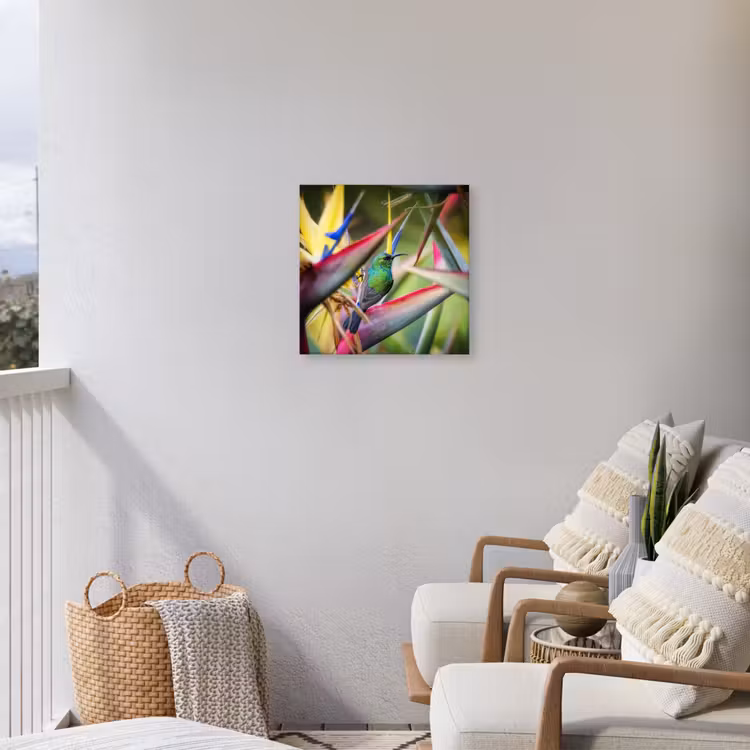 Buiten canvas - Kleurrijke vogel tussen allemaal kleurrijke platen — 4