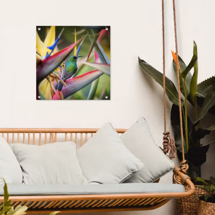 Tuinposter - Kleurrijke vogel tussen allemaal kleurrijke platen — 5