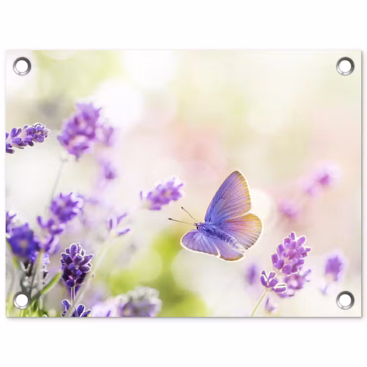 Tuinposter - Lavendel - Vlinder - Bloemen — 1