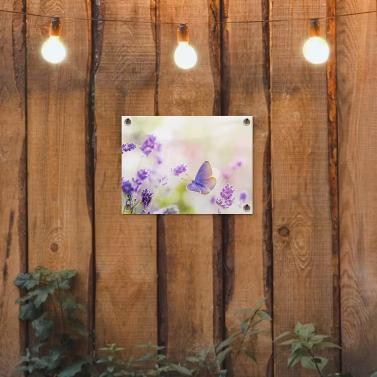 Tuinposter - Lavendel - Vlinder - Bloemen — 2