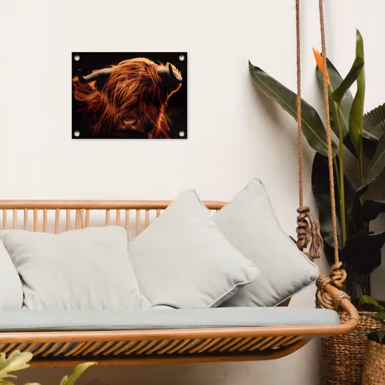 Tuinposter - Schotse hooglander - Koe - Hoorns - Portret - Dieren — 5