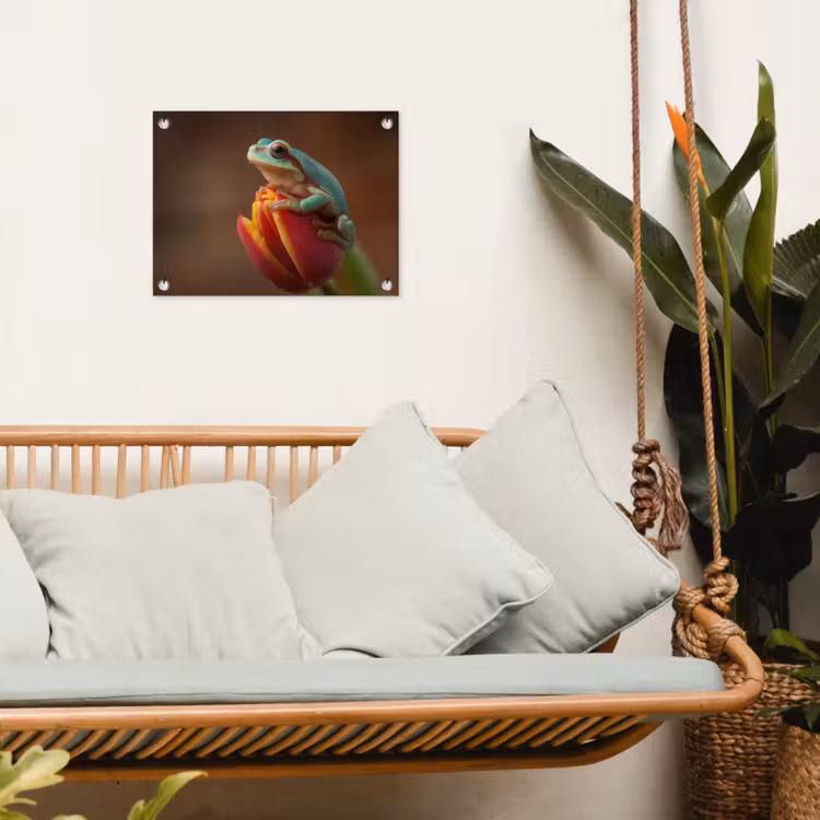 Tuinposter - Close-up - Kikker - Tulp - Rood — 5
