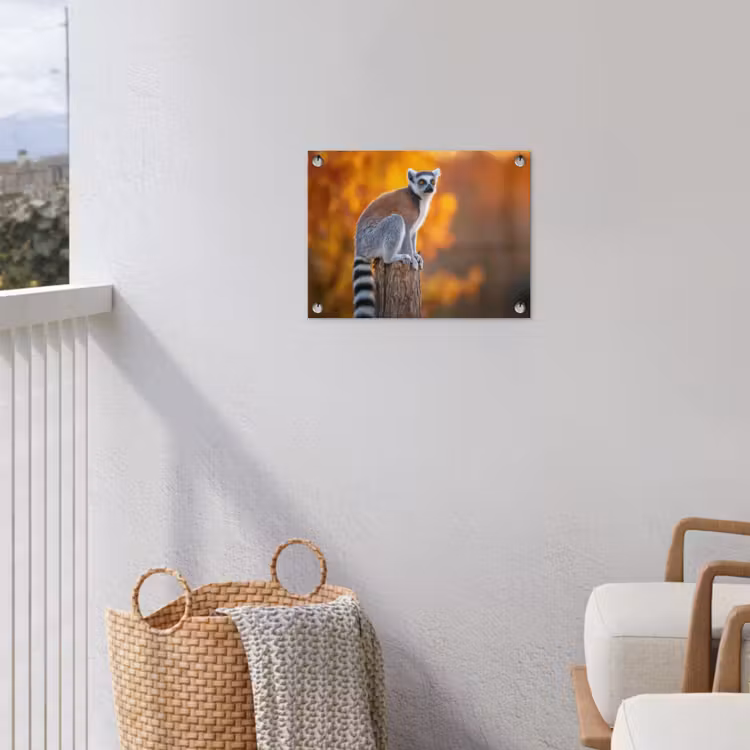 Tuinposter - Ringstaartmaki - Boomstronk - Gestreept — 3