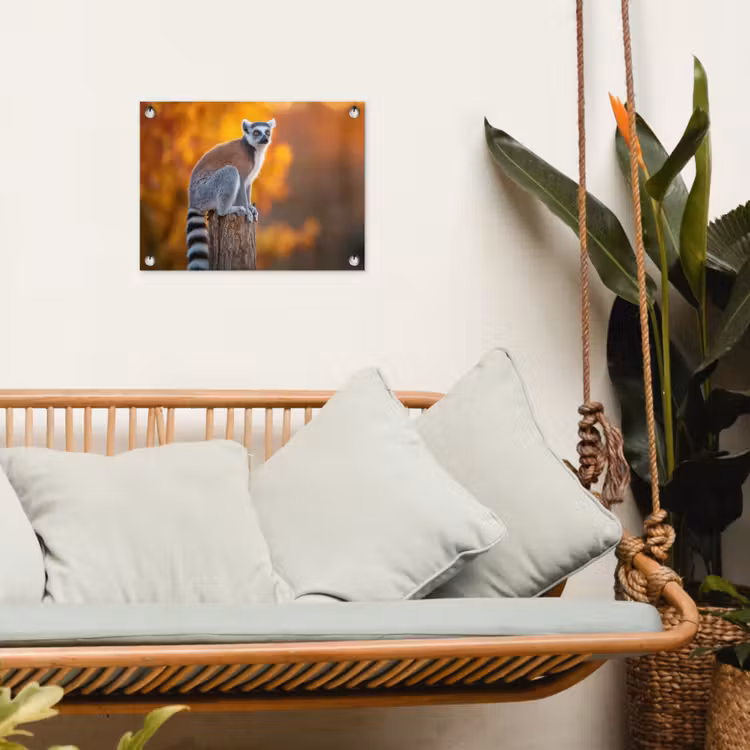 Tuinposter - Ringstaartmaki - Boomstronk - Gestreept — 5
